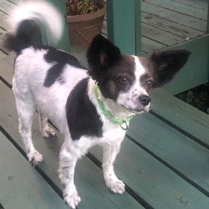 Meet your Posher, Doug